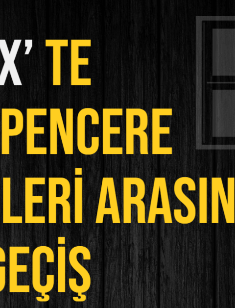 EDIUS X’te Pencere Düzenleri Arasında Geçiş
